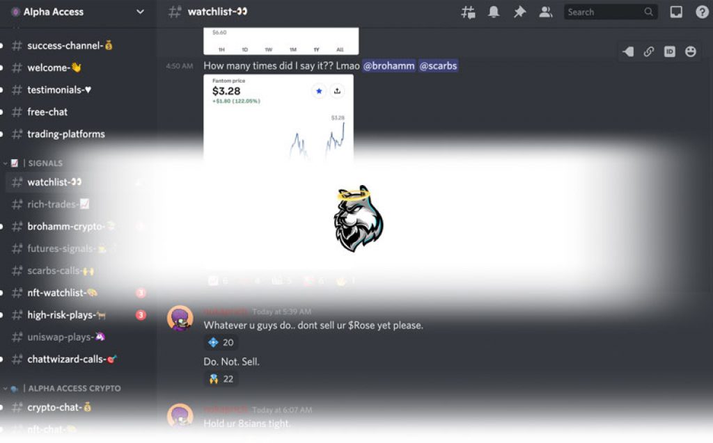 alpha access discord