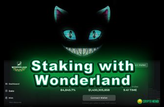 staking wonderland