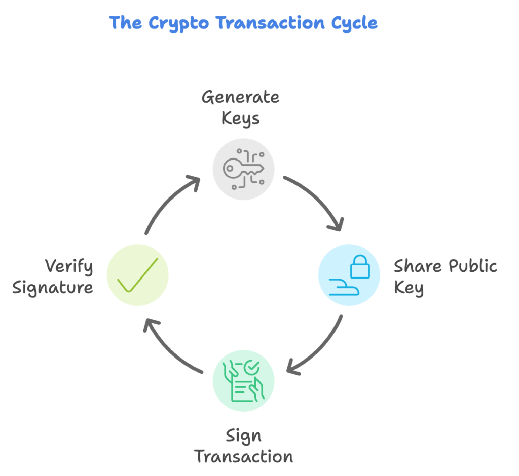 crypto-transaction-cycle